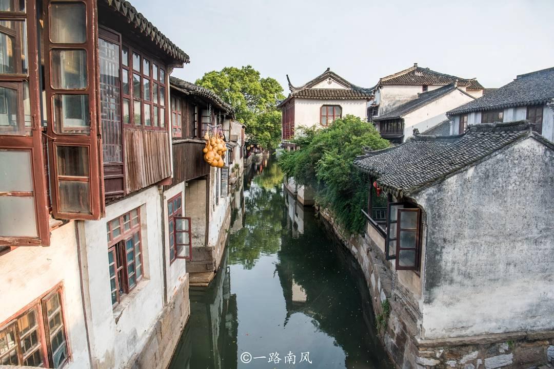 蓝军出击：心理战的领导就是厉害，看自己人也能洞察细节！游戏画面